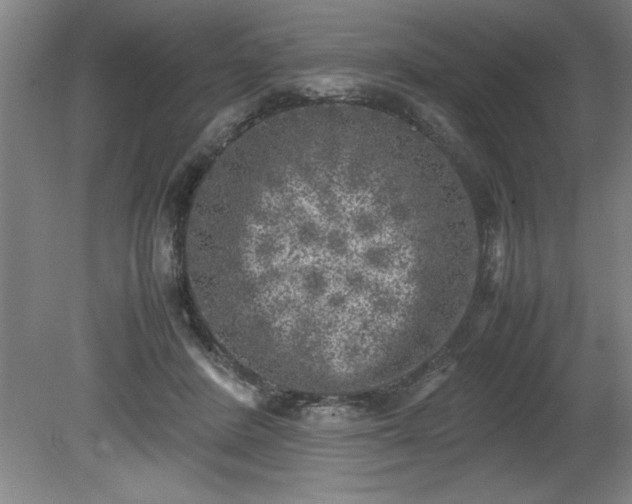 X0000081570408200701221058