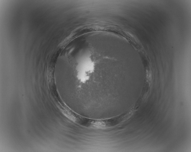 X0000081570409200701221058