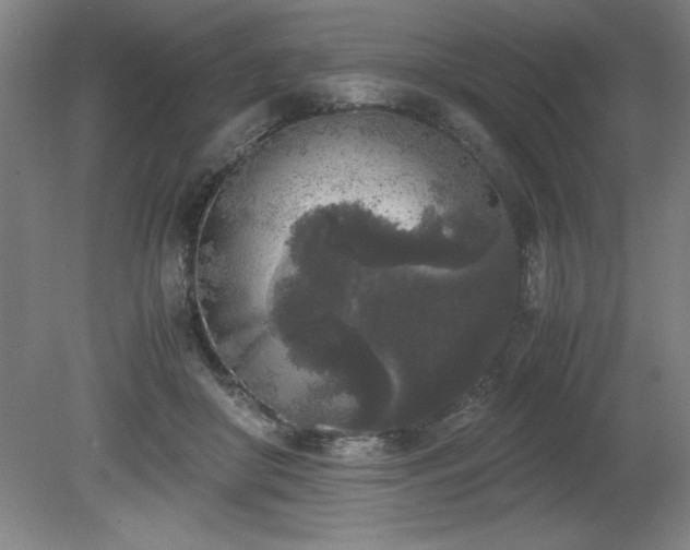 X0000081570410200701221058