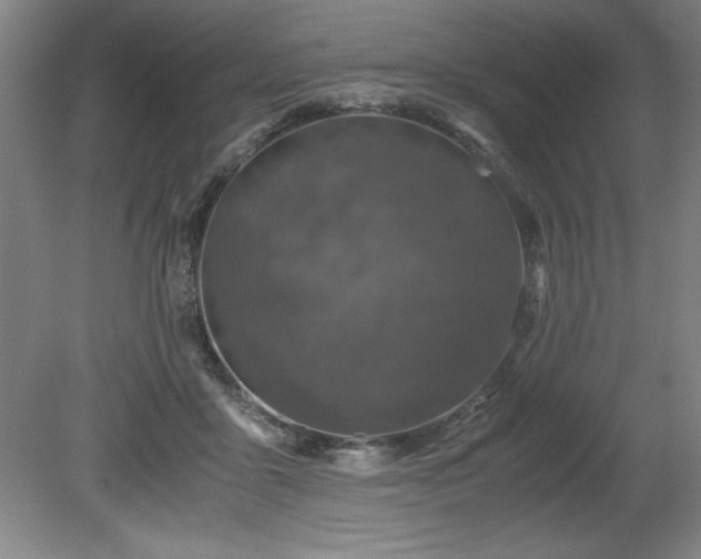 X0000081570411200701221058