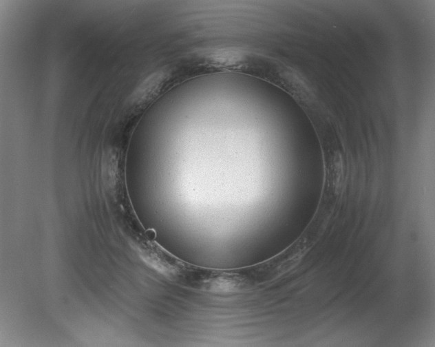 X0000081570412200701221058