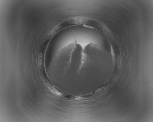 X0000081570413200701221058