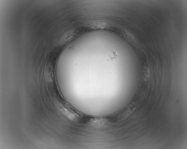 X0000081570414200701221058