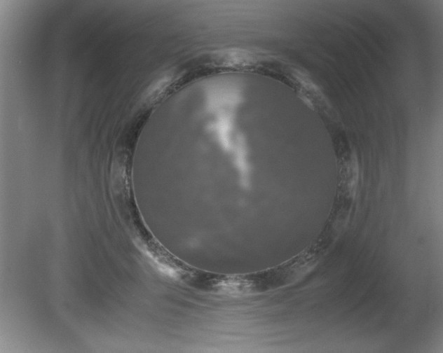 X0000081570415200701221058