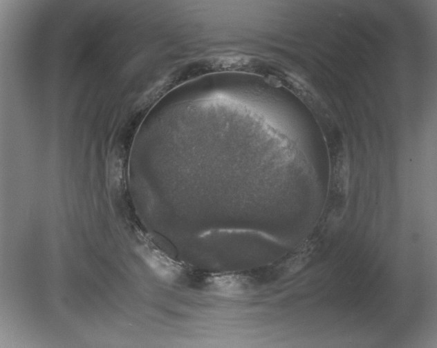 X0000081570417200701221058