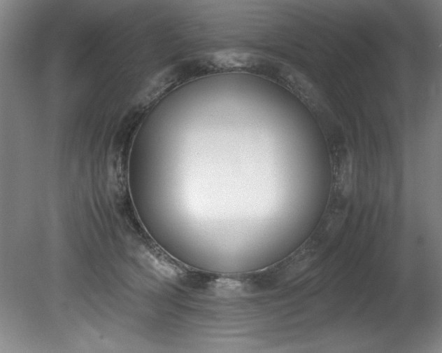 X0000081570418200701221058