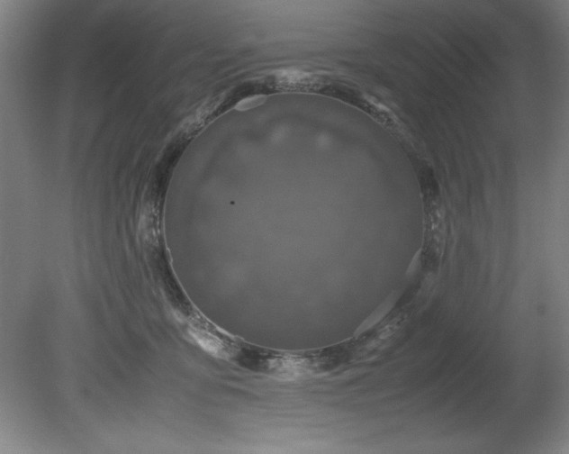 X0000081570419200701221058