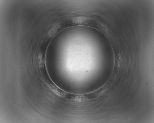 X0000081570420200701221058