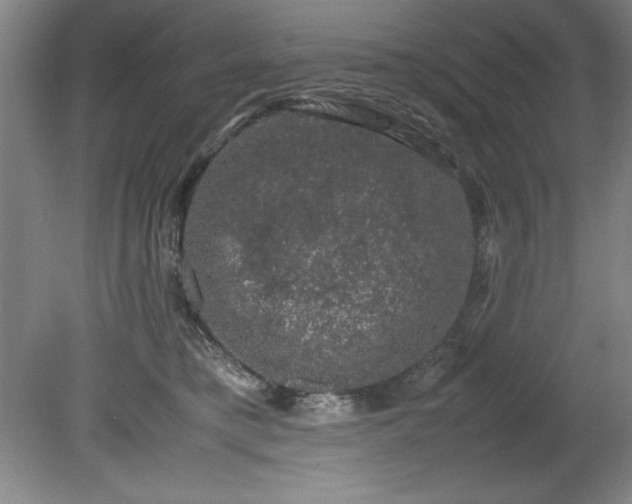 X0000081570421200701221058