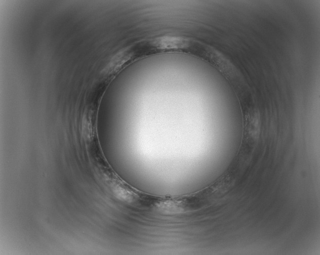 X0000081570422200701221058