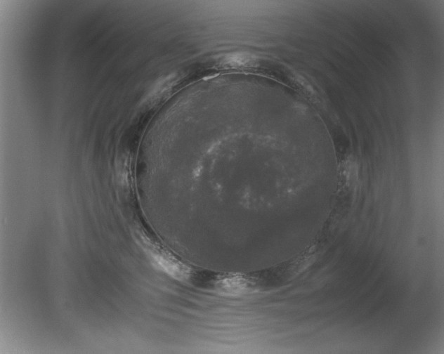 X0000081570423200701221058