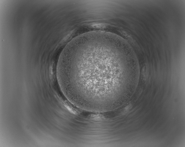 X0000081570424200701221058