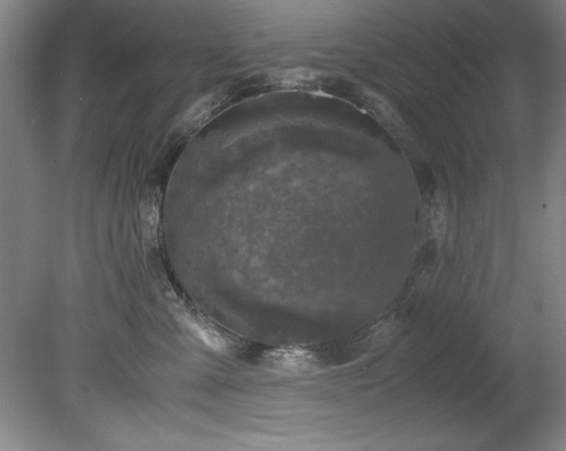 X0000081570427200701221058