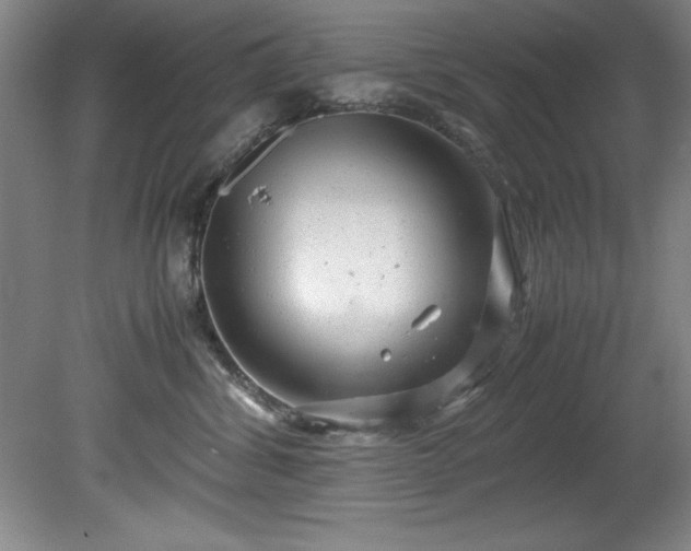 X0000081570428200701221057