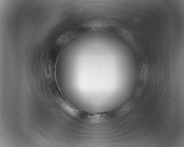 X0000081570430200701221057