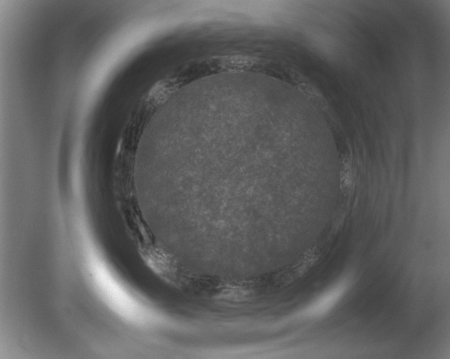 X0000081570431200701221057