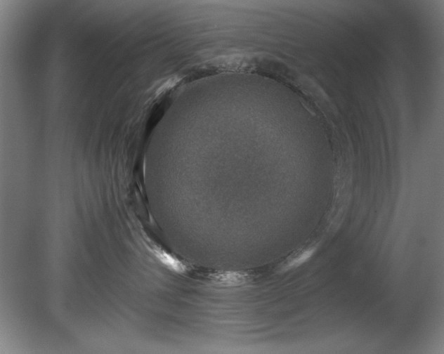 X0000081570432200701221057