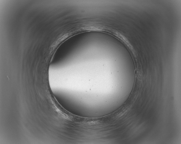 X0000081570433200701221057