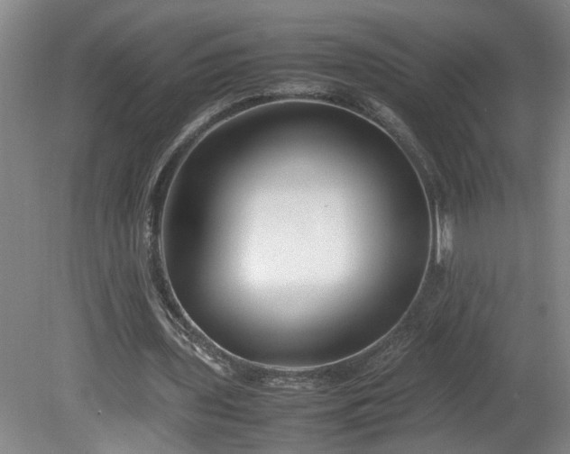 X0000081570435200701221057