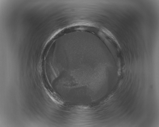 X0000081570436200701221057