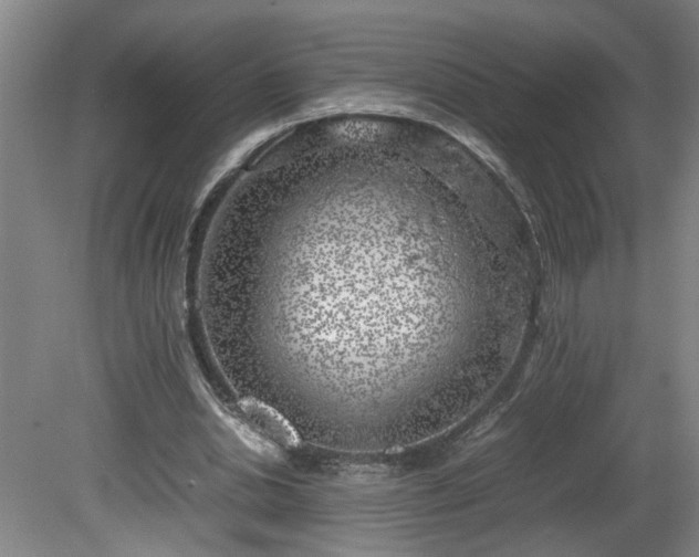 X0000081570438200701221057