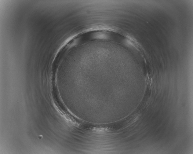 X0000081570440200701221057