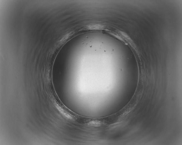 X0000081570441200701221057