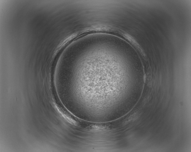 X0000081570442200701221057