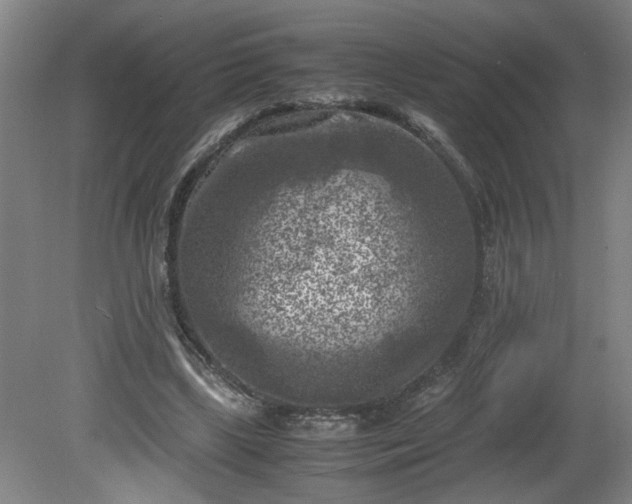 X0000081570443200701221057