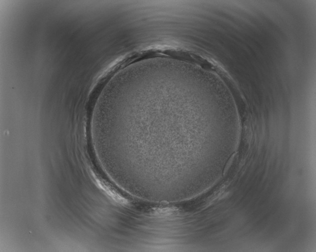 X0000081570446200701221057