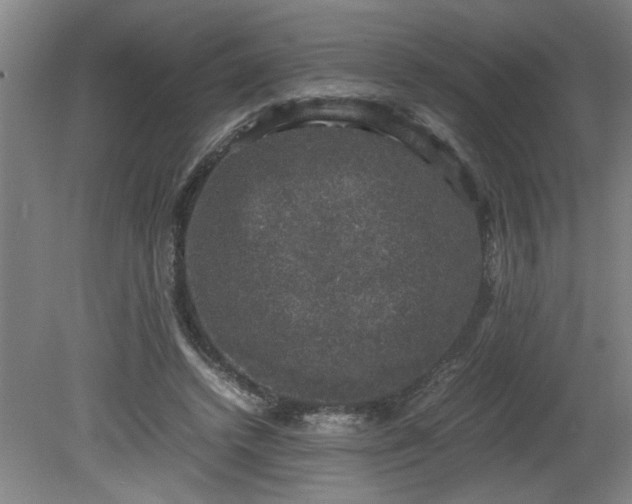 X0000081570448200701221057