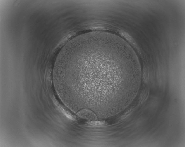 X0000081570449200701221057