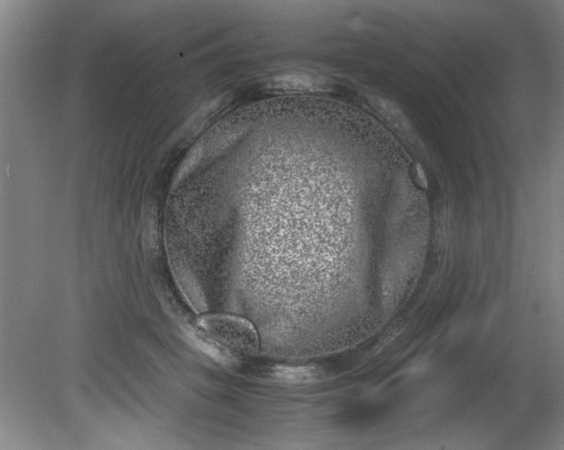 X0000081570457200701221057