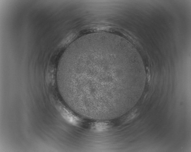 X0000081570462200701221057