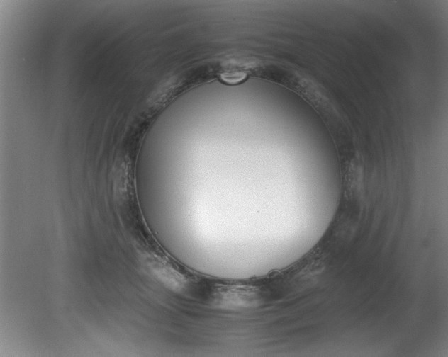 X0000081570463200701221057