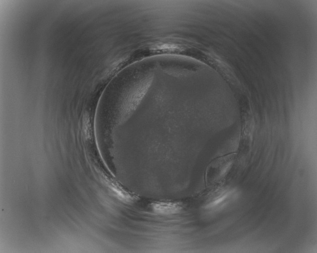 X0000081570465200701221057