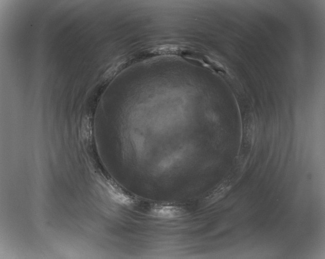 X0000081570467200701221057