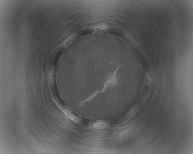 X0000081570468200701221057