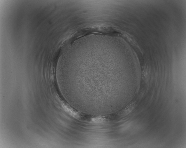 X0000081570470200701221057