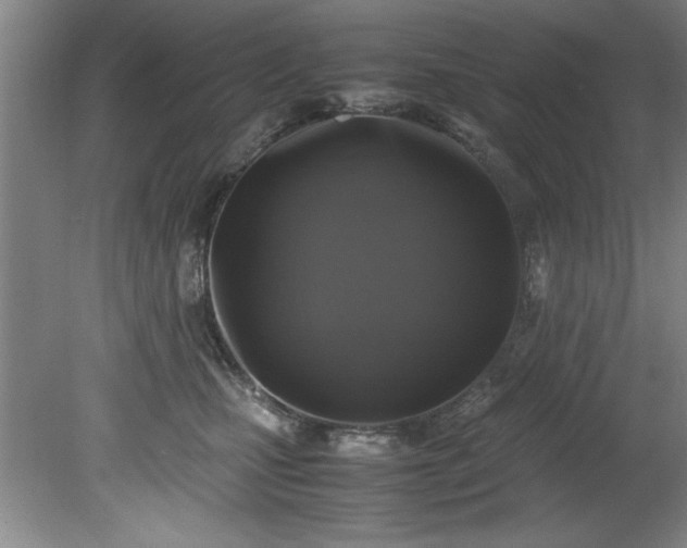 X0000081570471200701221057