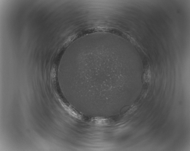 X0000081570472200701221057