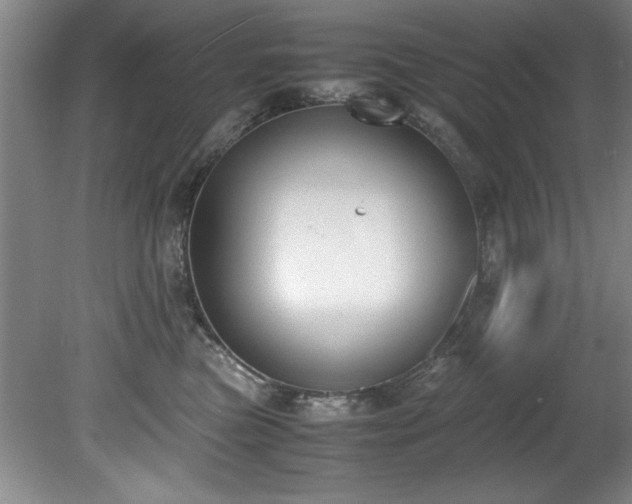 X0000081570473200701221057