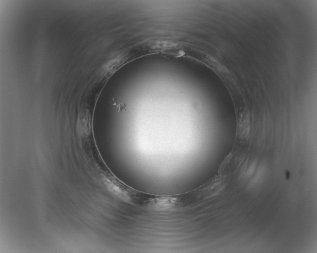 X0000081570474200701221057