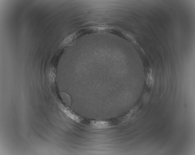 X0000081570476200701221057