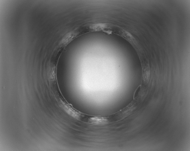 X0000081570477200701221057