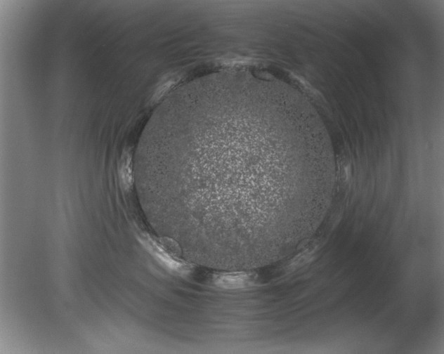 X0000081570479200701221057