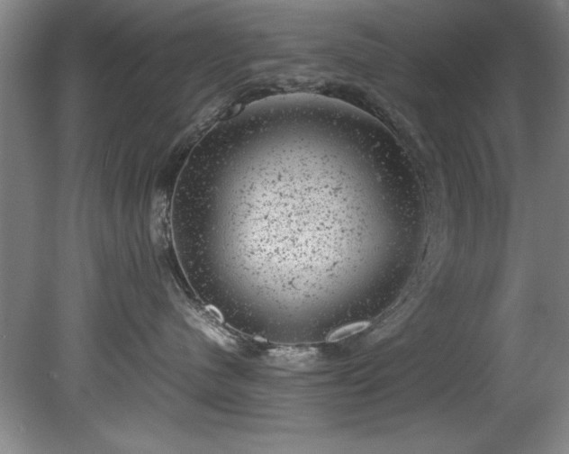 X0000081570480200701221057