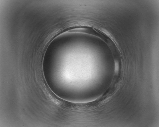 X0000081570481200701221057