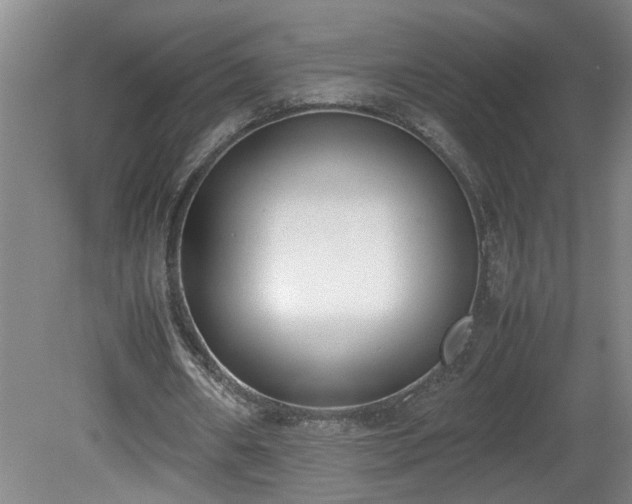 X0000081570482200701221057