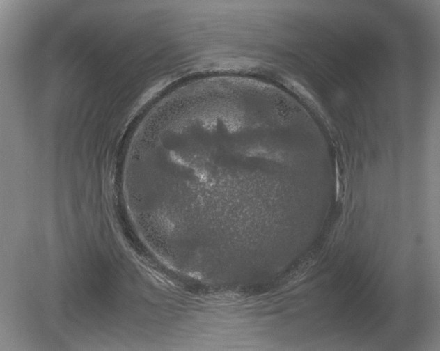 X0000081570483200701221057